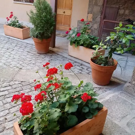 Appartement Apartamento Del Mercado *